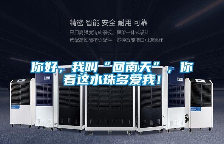 你好，我叫“回南天”，你看這水珠多愛我！