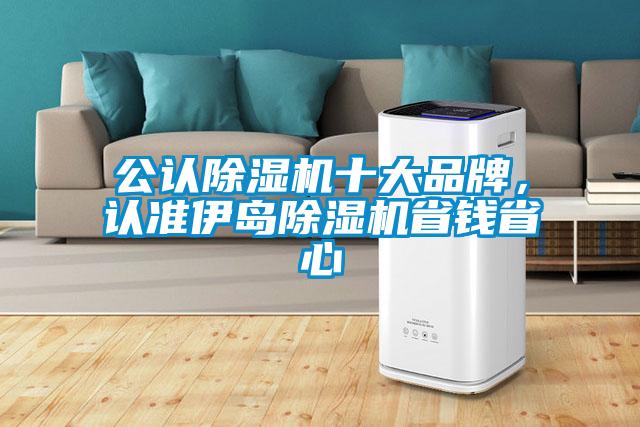 公認(rèn)除濕機(jī)十大品牌，認(rèn)準(zhǔn)伊島除濕機(jī)省錢省心
