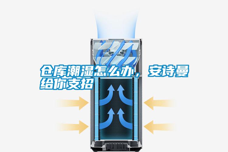 倉庫潮濕怎么辦，安詩曼給你支招