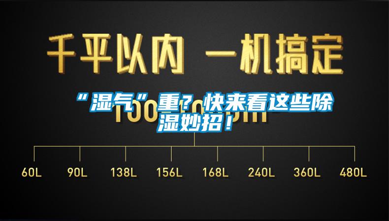 “濕氣”重？快來看這些除濕妙招！