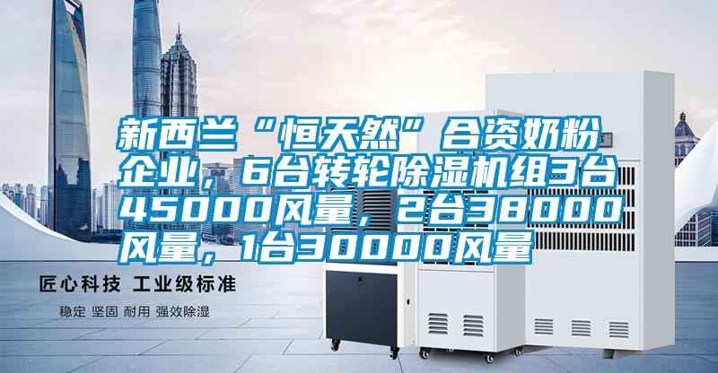 新西蘭“恒天然”合資奶粉企業(yè)，6臺轉(zhuǎn)輪除濕機組3臺45000風量，2臺38000風量，1臺30000風量