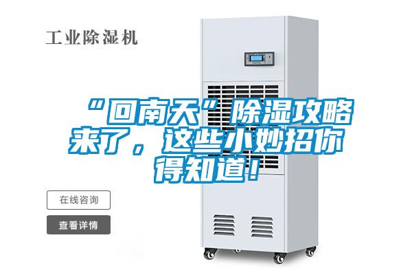 “回南天”除濕攻略來了，這些小妙招你得知道！