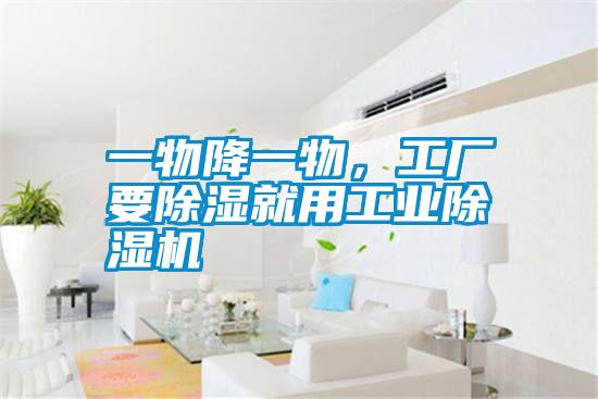 一物降一物，工廠要除濕就用工業(yè)除濕機