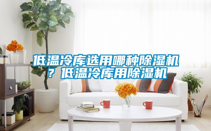 低溫冷庫選用哪種除濕機？低溫冷庫用除濕機