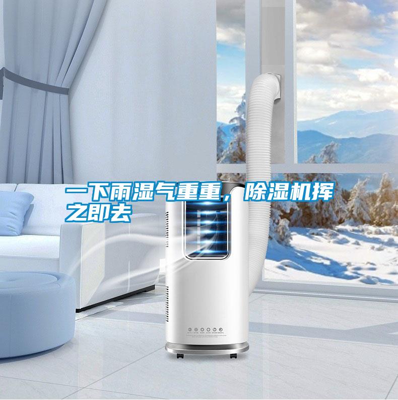 一下雨濕氣重重，除濕機揮之即去