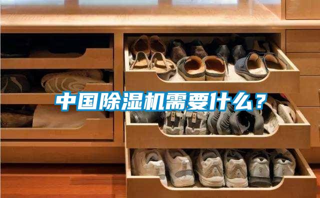 中國除濕機(jī)需要什么？