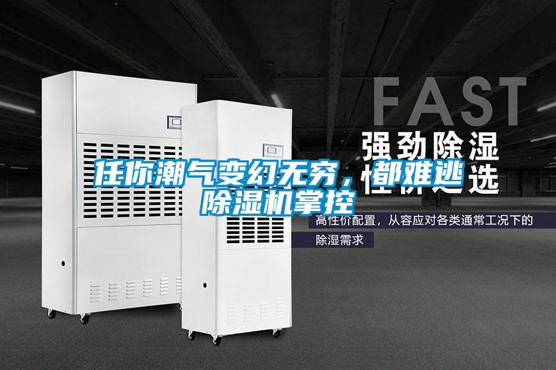任你潮氣變幻無窮，都難逃除濕機掌控