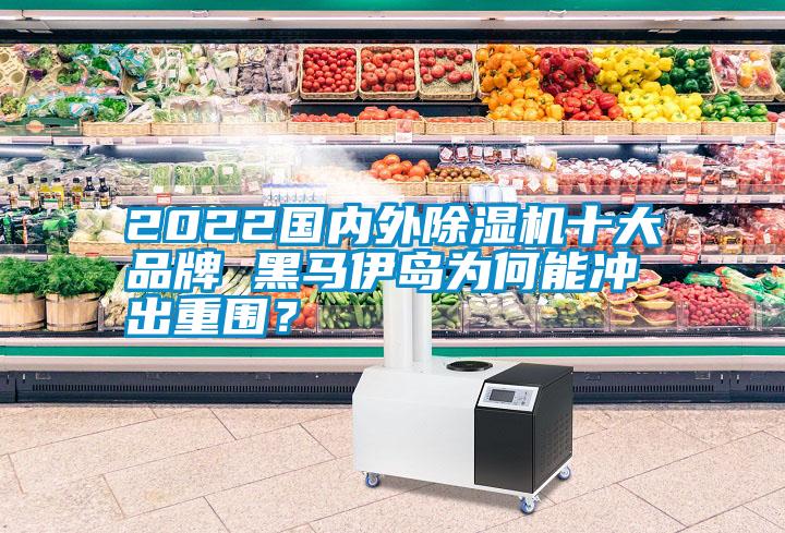 2022國內(nèi)外除濕機(jī)十大品牌 黑馬伊島為何能沖出重圍？