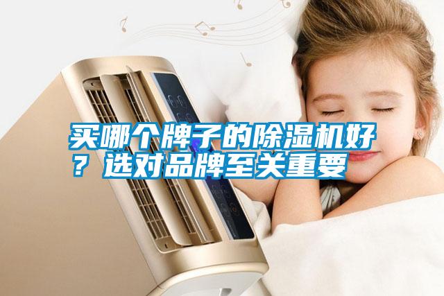 買哪個(gè)牌子的除濕機(jī)好？選對(duì)品牌至關(guān)重要