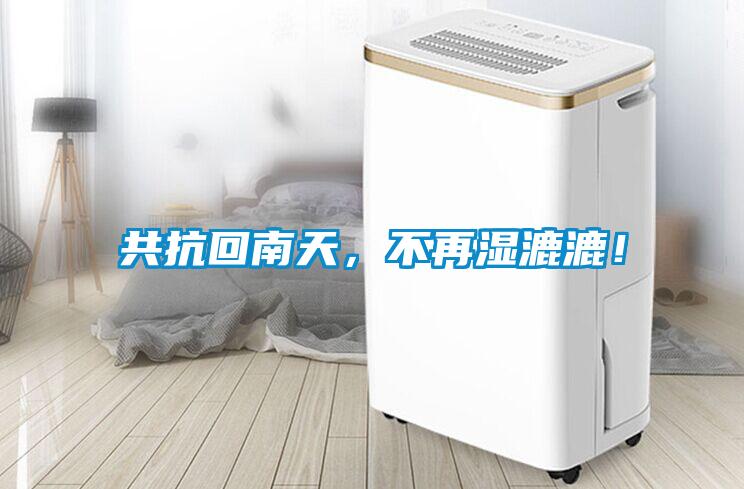 共抗回南天，不再濕漉漉！