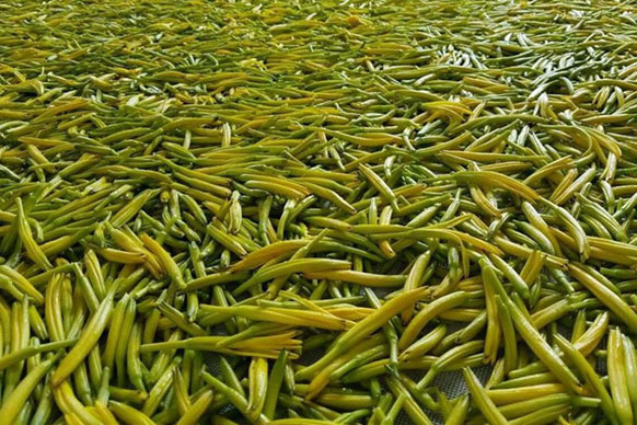 無硫金針菜烘干如何保持品相？不發(fā)黑？_除濕機廠家