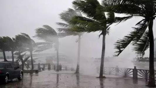 8月臺風(fēng)雨即將來，除濕機還得用起來