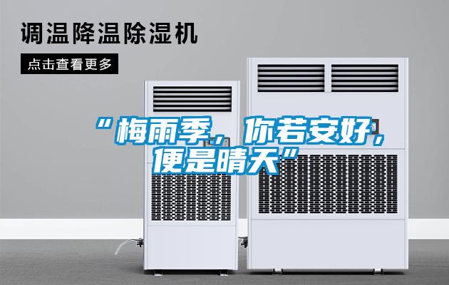 “梅雨季，你若安好，便是晴天”