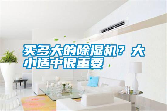 買多大的除濕機？大小適中很重要