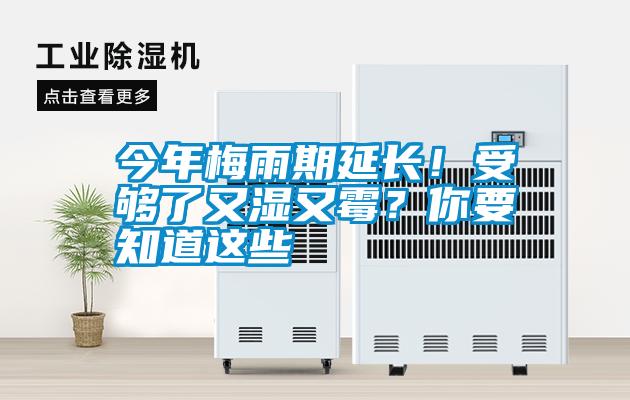 今年梅雨期延長！受夠了又濕又霉？你要知道這些