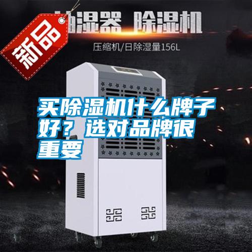買除濕機什么牌子好？選對品牌很重要