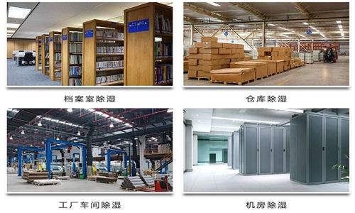 為什么竹筍烘干房需要除濕機(jī)？