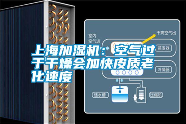 上海加濕機(jī):空氣過(guò)于干燥會(huì)加快皮質(zhì)老化速度