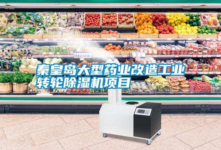 秦皇島大型藥業(yè)改造工業(yè)轉(zhuǎn)輪除濕機(jī)項目