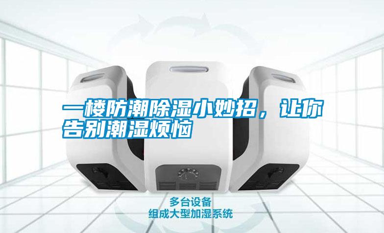 一樓防潮除濕小妙招，讓你告別潮濕煩惱