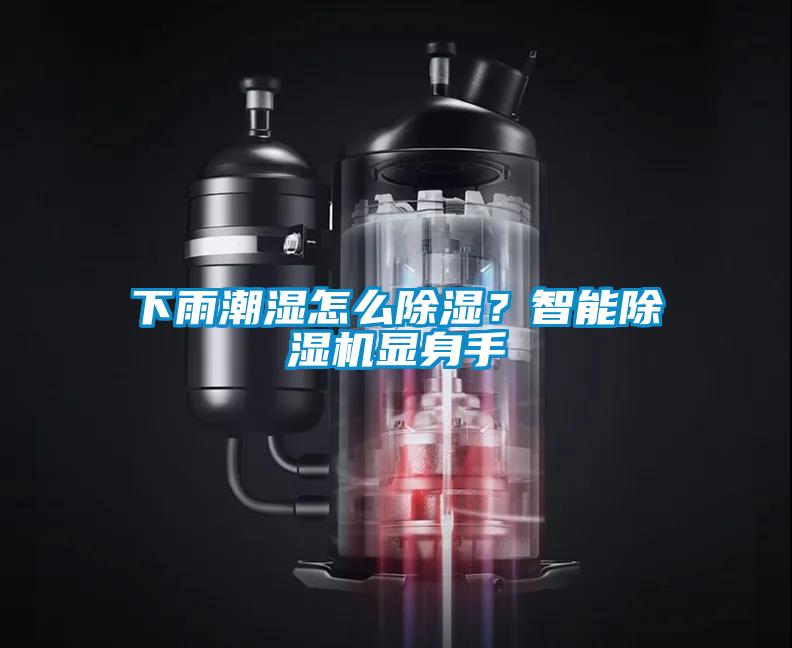 下雨潮濕怎么除濕？智能除濕機(jī)顯身手
