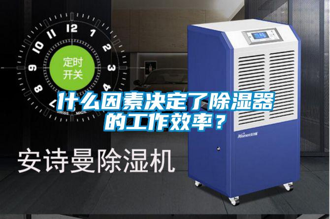 什么因素決定了除濕器的工作效率？