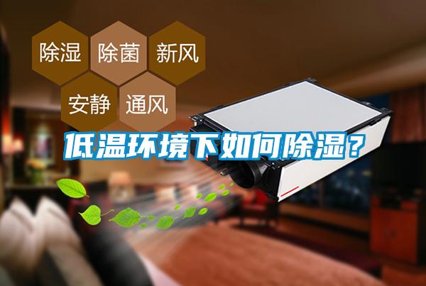 低溫環(huán)境下如何除濕？