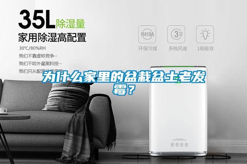 為什么家里的盆栽盆土老發(fā)霉？
