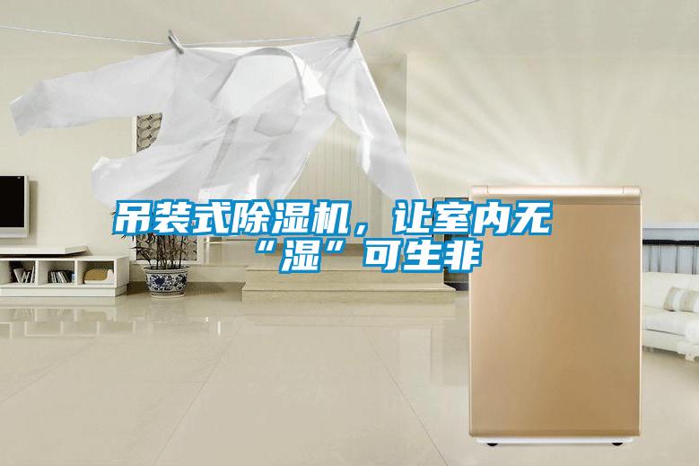 吊裝式除濕機(jī)，讓室內(nèi)無“濕”可生非