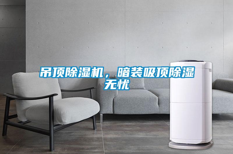 吊頂除濕機，暗裝吸頂除濕無憂