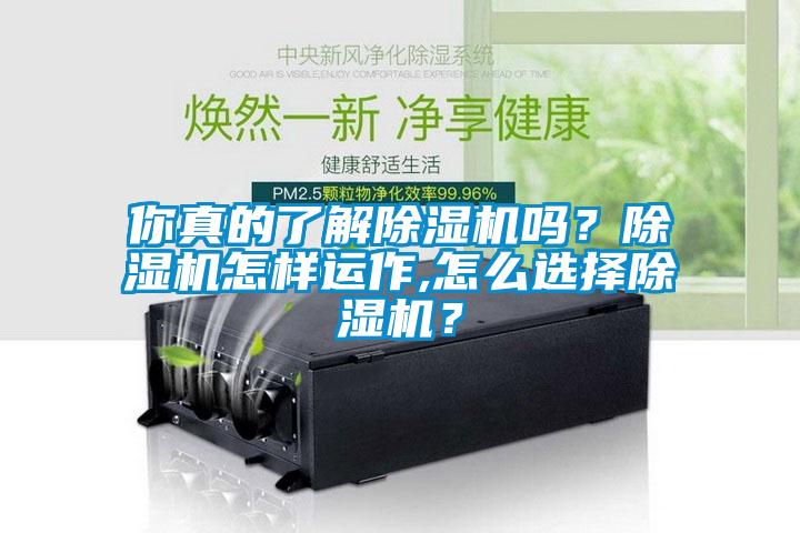 你真的了解除濕機嗎？除濕機怎樣運作,怎么選擇除濕機？