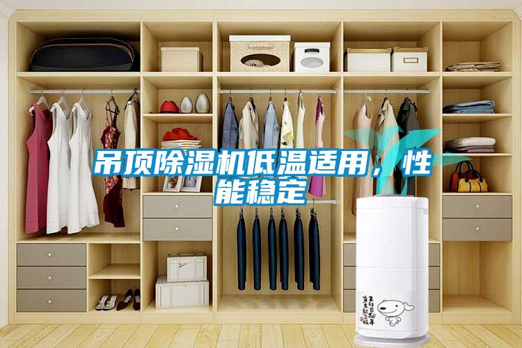 吊頂除濕機(jī)低溫適用，性能穩(wěn)定