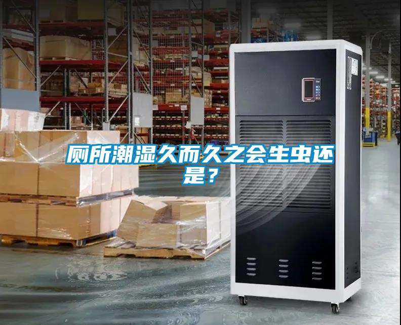 廁所潮濕久而久之會(huì)生蟲還是？