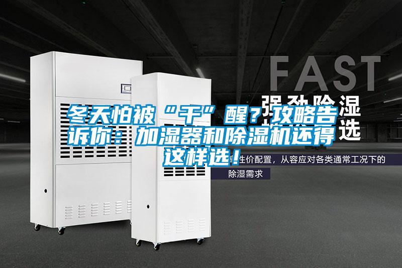冬天怕被“干”醒？攻略告訴你：加濕器和除濕機還得這樣選！
