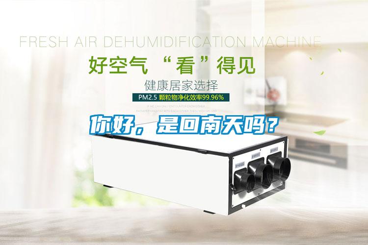 你好，是回南天嗎？