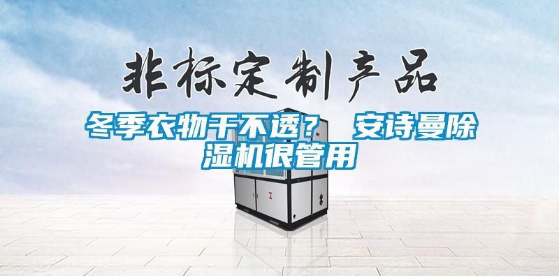 冬季衣物干不透？ 安詩曼除濕機很管用