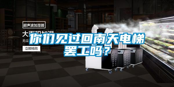 你們見(jiàn)過(guò)回南天電梯罷工嗎？