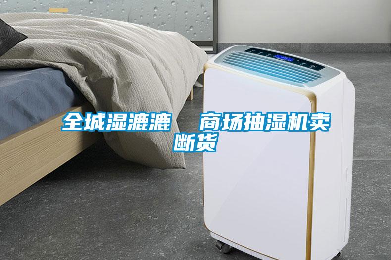 全城濕漉漉  商場抽濕機(jī)賣斷貨