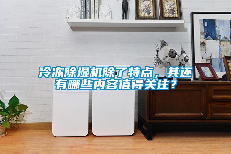 冷凍除濕機除了特點,其還有哪些內(nèi)容值得關(guān)注?