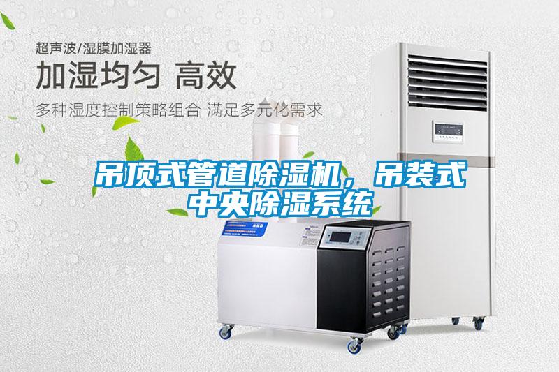 吊頂式管道除濕機，吊裝式中央除濕系統(tǒng)