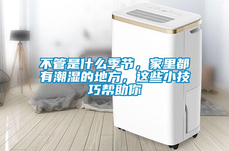 不管是什么季節(jié)，家里都有潮濕的地方，這些小技巧幫助你
