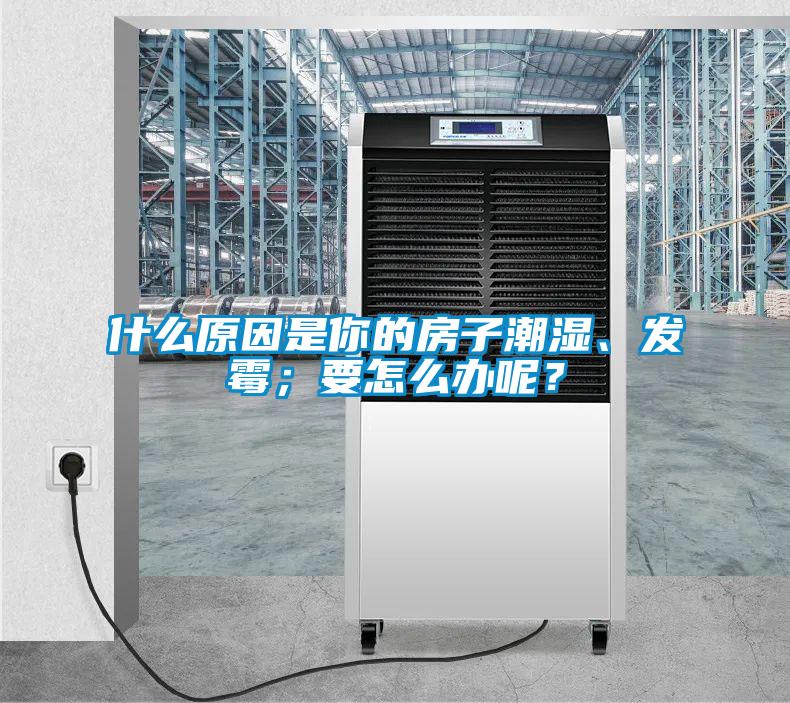 什么原因是你的房子潮濕、發(fā)霉；要怎么辦呢？
