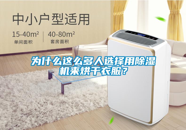 為什么這么多人選擇用除濕機來烘干衣服？