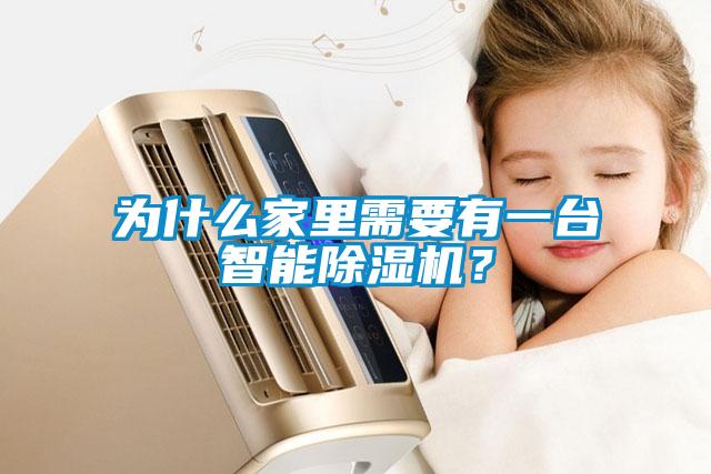 為什么家里需要有一臺智能除濕機(jī)？