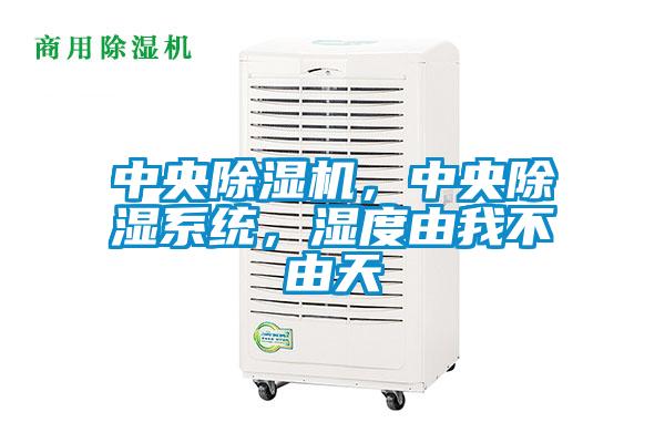 中央除濕機(jī)，中央除濕系統(tǒng)，濕度由我不由天