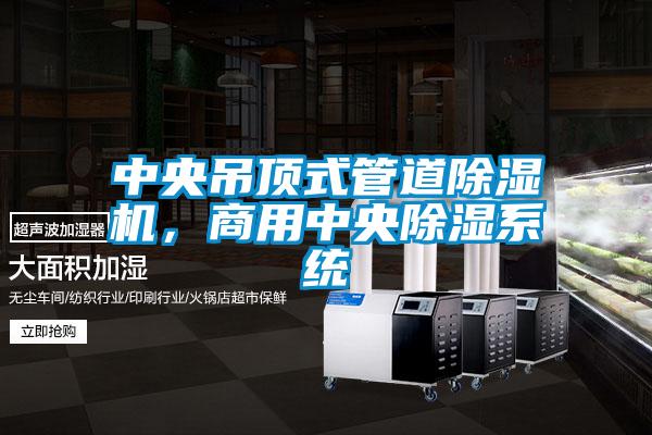 中央吊頂式管道除濕機(jī)，商用中央除濕系統(tǒng)