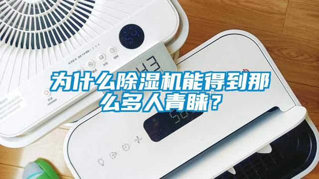 為什么除濕機能得到那么多人青睞？