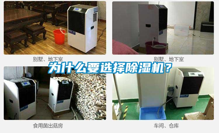 為什么要選擇除濕機？
