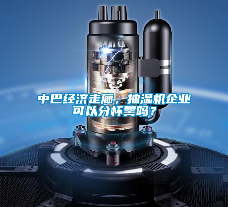 中巴經濟走廊，抽濕機企業(yè)可以分杯羹嗎？