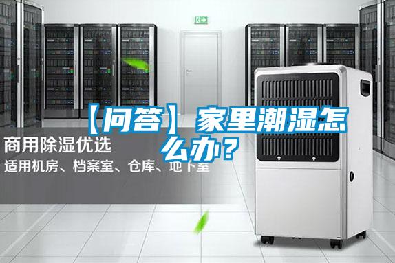 【問答】家里潮濕怎么辦？